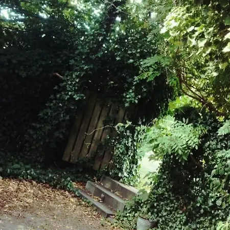 Greenbrook Homes * 올보르
