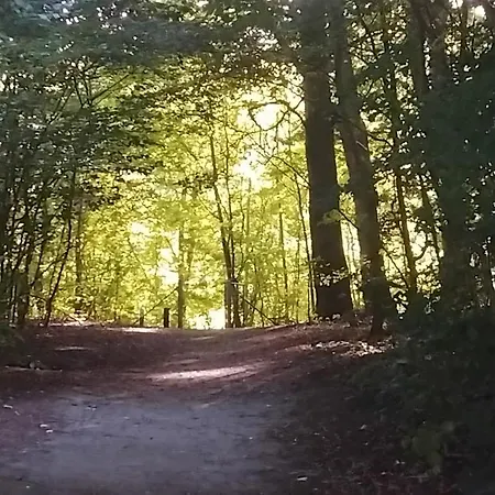 Greenbrook Homes Frühstückspension Aalborg