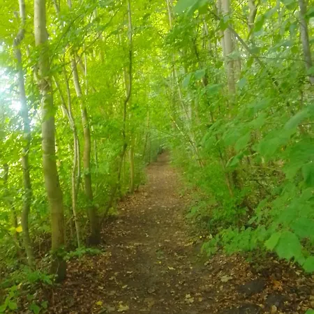 Greenbrook Homes Alojamento de Acomodação e Pequeno-almoço *